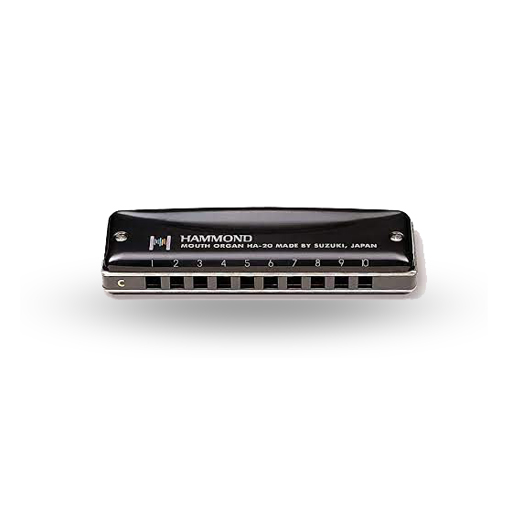 Suzuki Hammond Promaster HA-20, Professional 10 Hole, 20 Notes Diatonic Harmonica