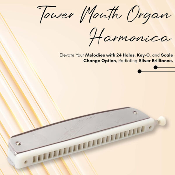 Tower Harmonica 24 Hole Scale Changer in C scale